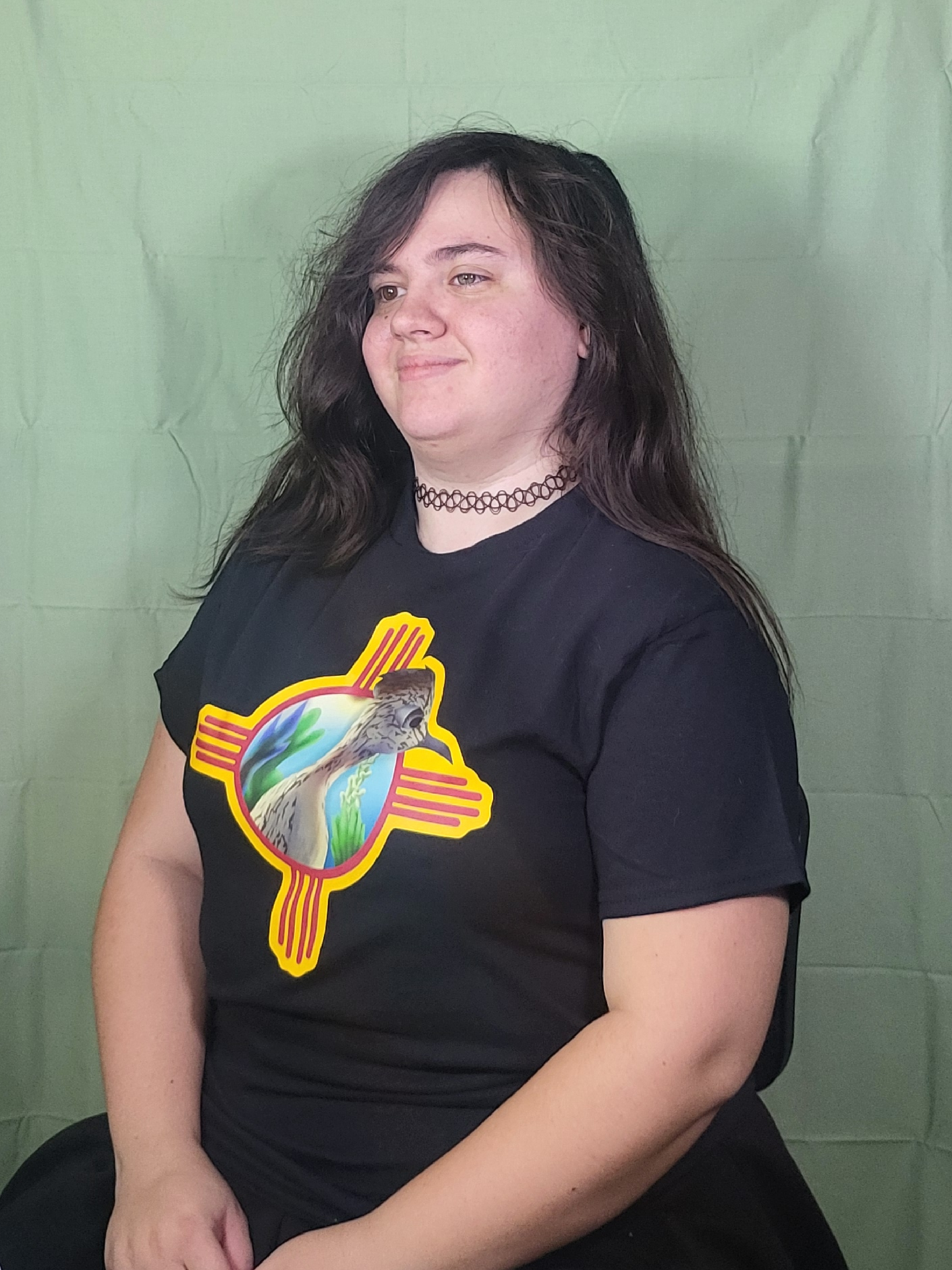 New Mexico Roadrunner T-Shirts