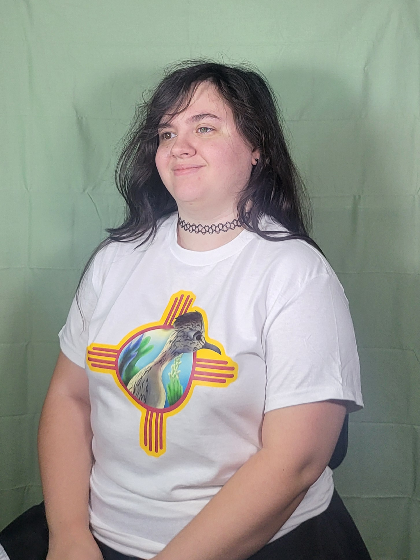 New Mexico Roadrunner T-Shirts
